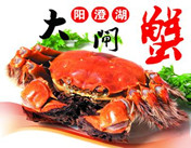 阳澄湖区域大闸蟹—乐器演奏人生，美食营造未来