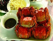 张牙舞爪的巴仙阳澄湖区域大闸蟹是诱惑食客们的美食