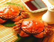 值得期待一年的美味-巴仙阳澄湖区域大闸蟹