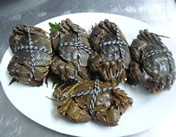 巴仙蟹王告诉你:阳澄湖区域大闸蟹卖的是一种文化